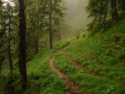 2013-06-22_Hirschhoerndl_Jochberg (226).JPG